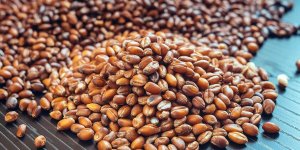 Rüyada Kavurga Görmek