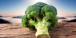 Rüyada Brokoli Görmek