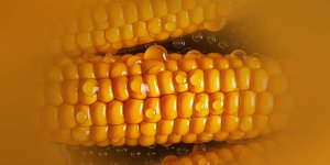 Rüyada Mısır Koçanı Görmek