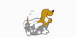 Rüyada Köpek Yıkamak