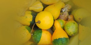 Rüyada Su Kabağı Görmek