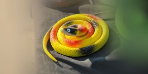 Rüyada Oyuncak Yılan Görmek