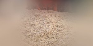 Rüyada Pancar Küspesi Görmek