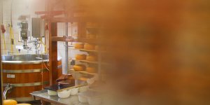 Rüyada Süt Fabrikası Görmek