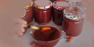 Rüyada Kuşburnu Marmelatı Görmek