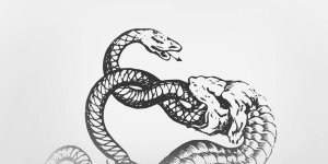 Rüyada Yılanın Yılanı Yemesi