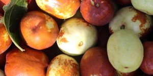 Rüyada Hünnap Görmek