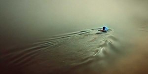 Rüyada Bulanık Suda Yüzmek