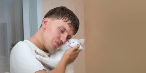 Rüyada Kediye Sarılmak