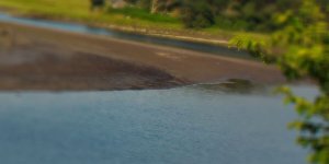 Rüyada Haliç Görmek