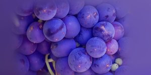 Rüyada Mor Üzüm Görmek