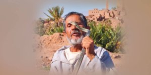 Rüyada Yılan Yemek