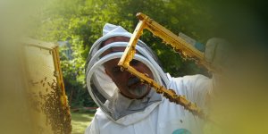 Rüyada Arıcı Görmek