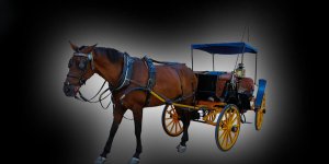 Rüyada At Arabası Görmek