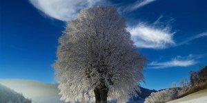 Rüyada Ayaz Görmek