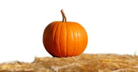 Rüyada Balkabağı Görmek