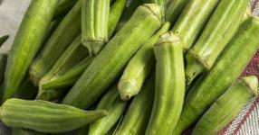 Rüyada Bamya Görmek