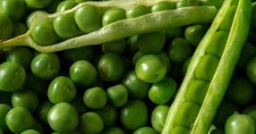 Rüyada Bezelye Görmek