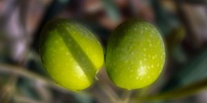 Rüyada Çağla Görmek