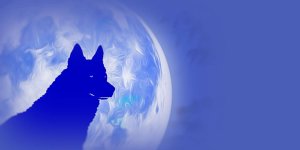 Rüyada Mavi Köpek Görmek