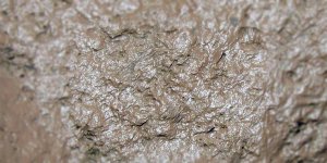 Rüyada Çamur Görmek