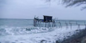 Rüyada Dalyan Görmek