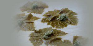 Rüyada Salamura Yaprak Görmek