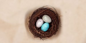 Rüyada Folluk Görmek