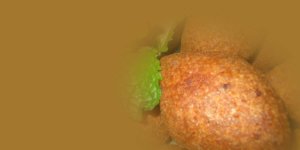 Rüyada İçli Köfte Görmek