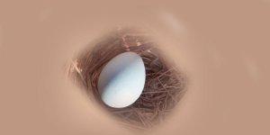 Rüyada Kuş Yumurtası Görmek