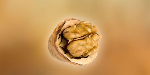 Rüyada Ceviz İçi Görmek