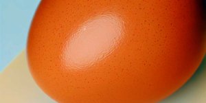 Rüyada Yumurta Kabuğu Görmek