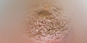 Rüyada Küf Görmek