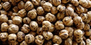 Rüyada Leblebi Görmek