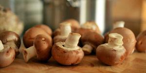 Rüyada Mantar Görmek