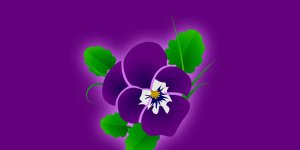 Rüyada Menekşe Görmek