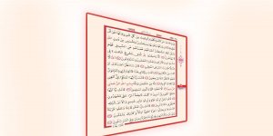 Rüyada Neml Suresini Okumak