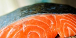 Rüyada Somon Görmek