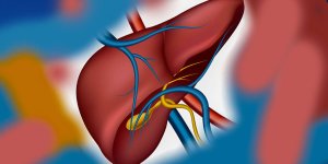 Rüyada Safra Kesesi Görmek