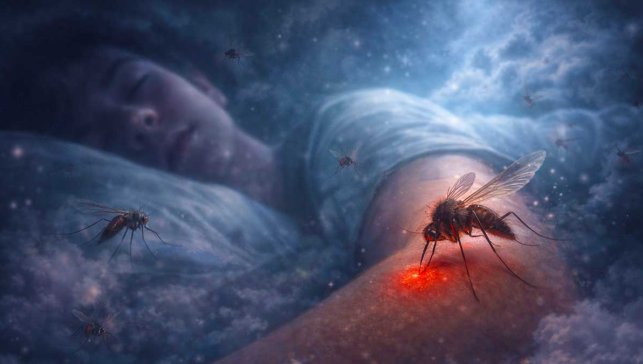 Rüyada Sivrisinek Sokması