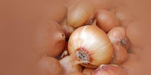 Rüyada Soğan Kabuğu Görmek