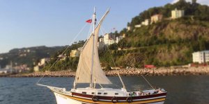 Rüyada Taka Görmek