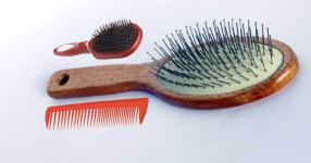 Rüyada Tarak Görmek