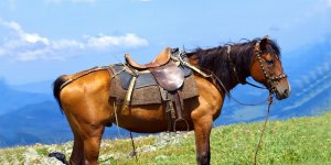 Rüyada Üzengi Görmek