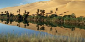 Rüyada Vaha Görmek