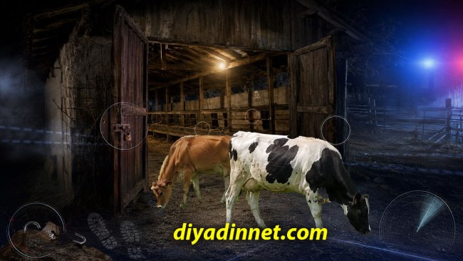 Ahırın Kilidini Kırıp Girdiler: Hamur'da 2 İnek Çalındı