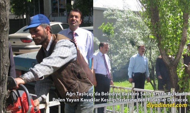 Vatandaşlar Maskeyle Dolaşmaya Başladı: Taşlıçay'da Polen Yayan Kavaklar Kesiliyor