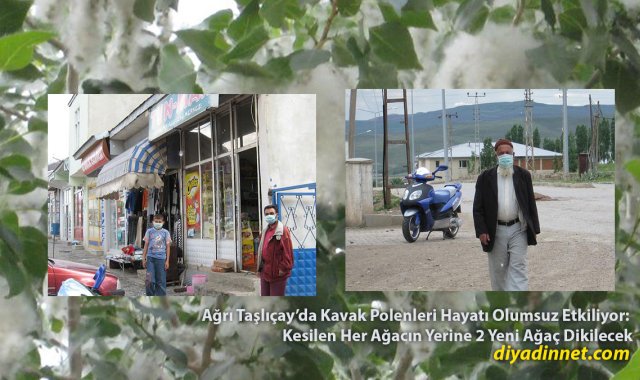 Kavak Polenleri Taşlıçay'ı Sardı: Vatandaşlar Sokağa Maskeyle Çıkıyor