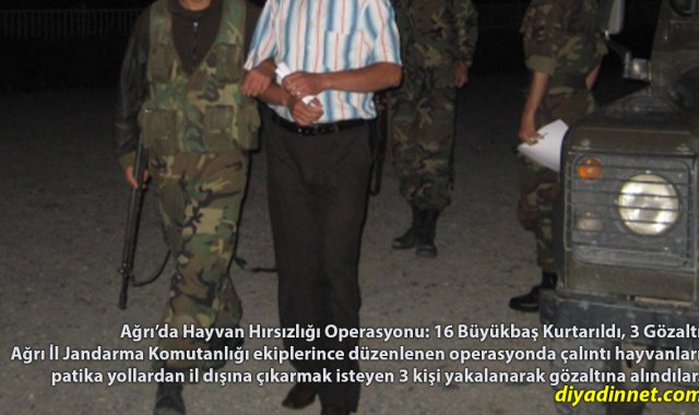 Ağrı'da Hayvan Hırsızlığı Operasyonu: 16 Büyükbaş Kurtarıldı, 3 Gözaltı