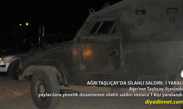 Ağrı Taşlıçay'da Silahlı Saldırı: Yaylacılara Ateş Açıldı, 1 Kişi Yaralandı